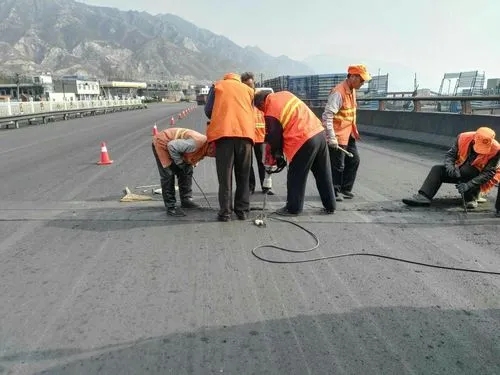 崇川道路桥梁病害治理